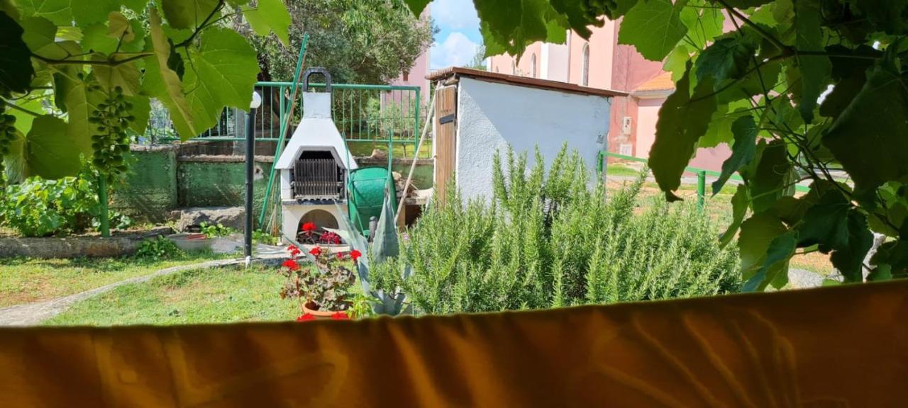Apartmani Centar Seline Paklenica Luaran gambar